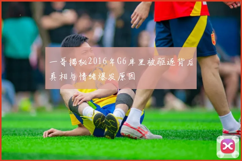 一哥揭秘2016年G6库里被驱逐背后真相与情绪爆发原因