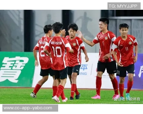 四川足协对日火瓦体飞踹拳击裁判事件做出严厉处罚禁赛五年以示警戒