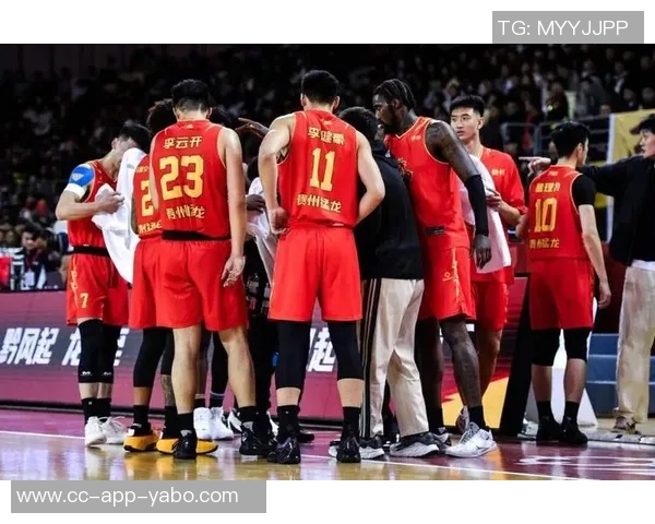 探索贵州猛龙篮球俱乐部的成长与挑战第八期球队巡礼